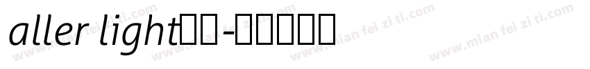 aller light字体字体转换